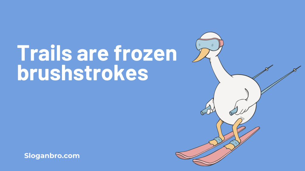 Trails are frozen rivers of fun.