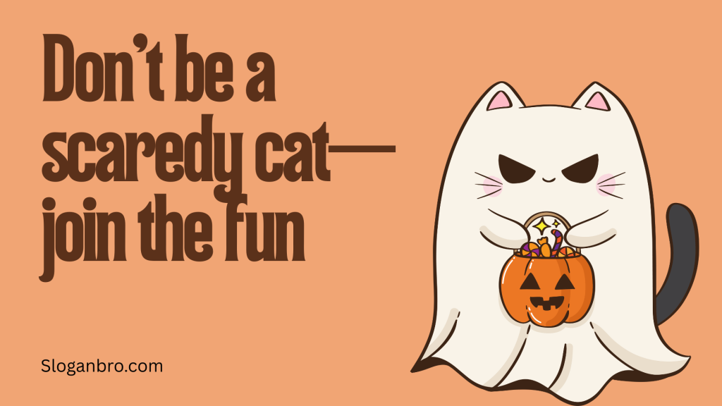 Don’t be a scaredy cat—join the fun.