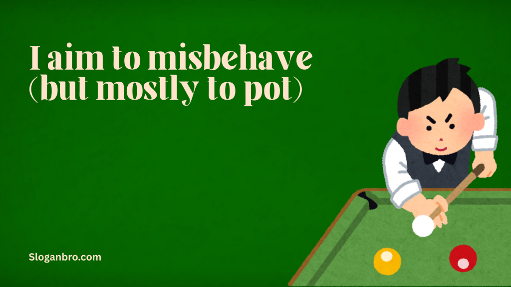 I aim to misbehave (but mostly to pot).