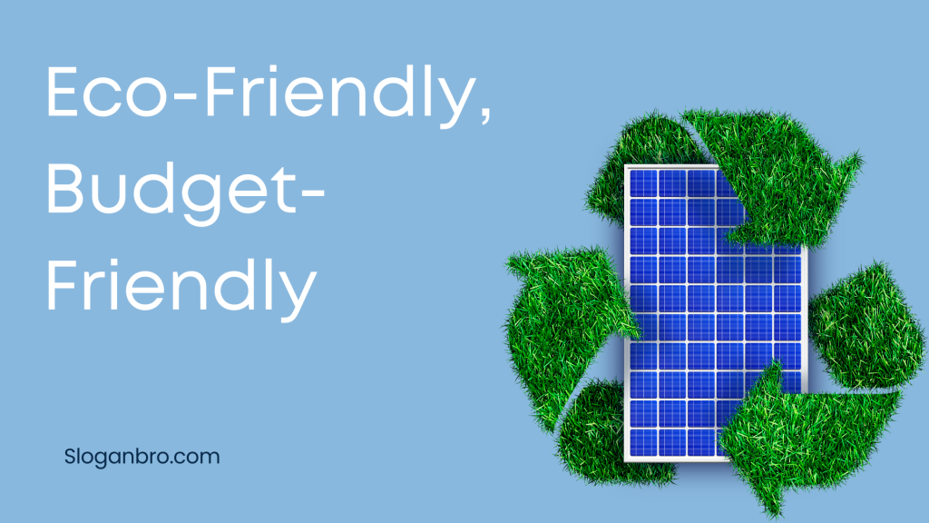 Eco-Friendly, Budget-Friendly