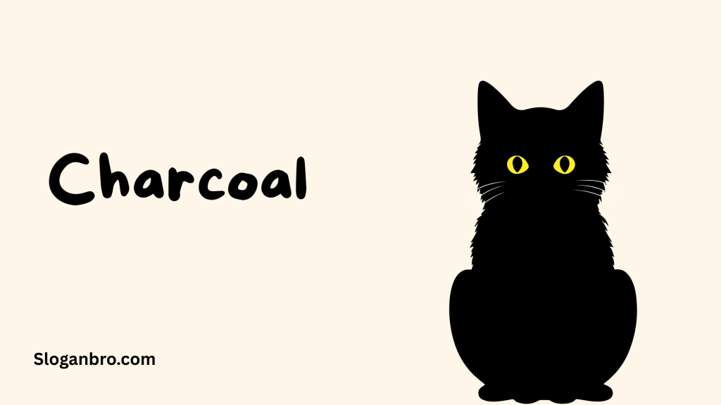 Charcoal