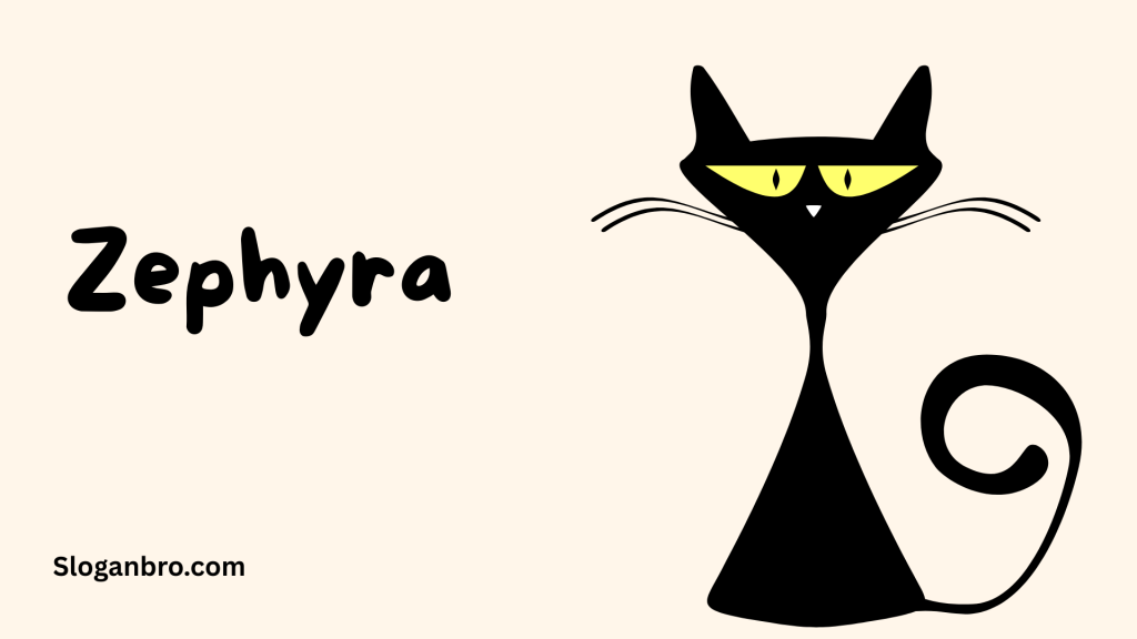 Zephyra
